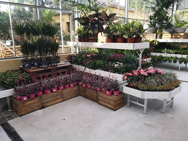 Viveros del Valle erneuert die Ausstellung von Pflanzen und Blumen