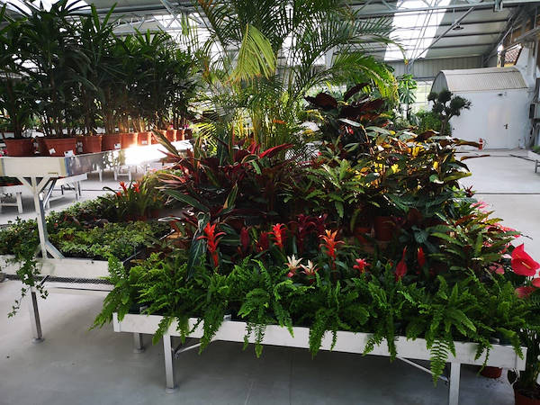 Viveros del Valle renews for plants and flowers