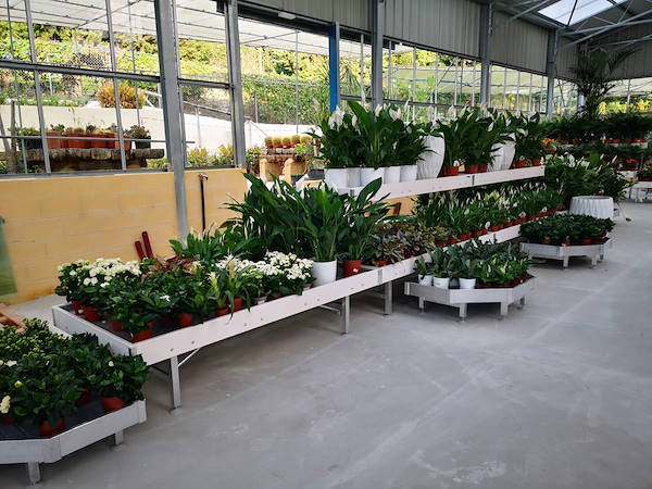 Viveros del Valle renews for plants and flowers