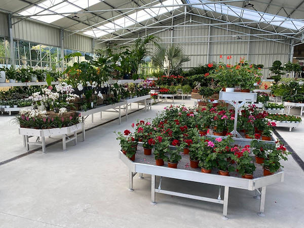 Viveros del Valle renouvelle l’exposition de plantes et de fleurs