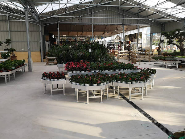 Viveros del Valle renouvelle l’exposition de plantes et de fleurs