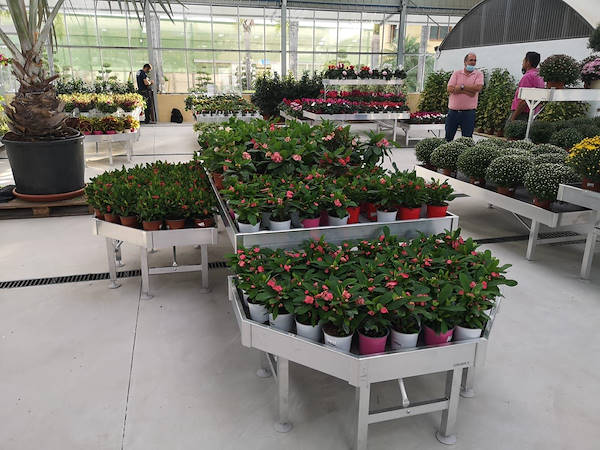 Viveros del Valle renueva la exposición de plantas y flores