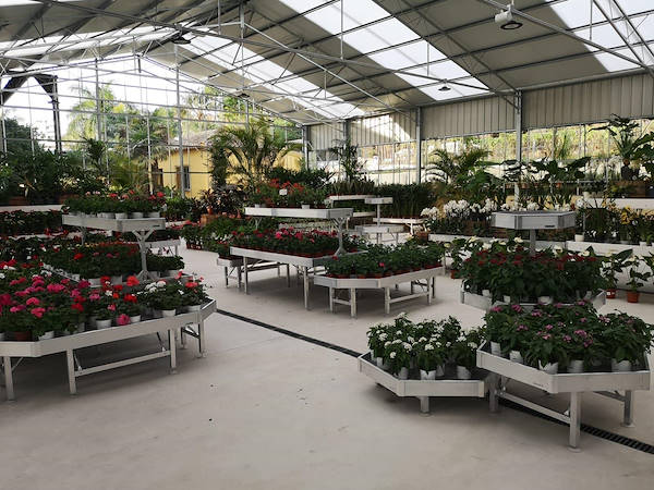 Viveros del Valle rinnova l'esposizione di piante e fiori