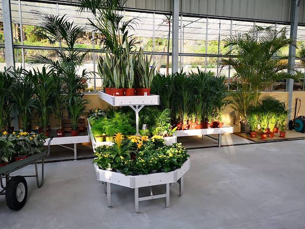 Viveros del Valle rinnova l'esposizione di piante e fiori