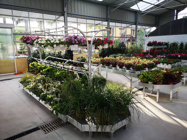 Viveros del Valle rinnova l'esposizione di piante e fiori