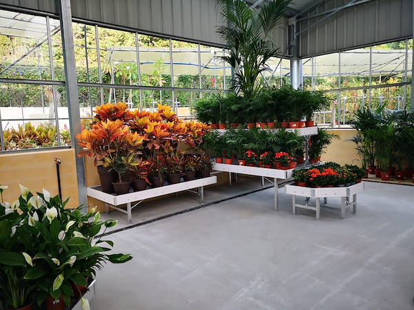 Viveros del Valle rinnova l'esposizione di piante e fiori