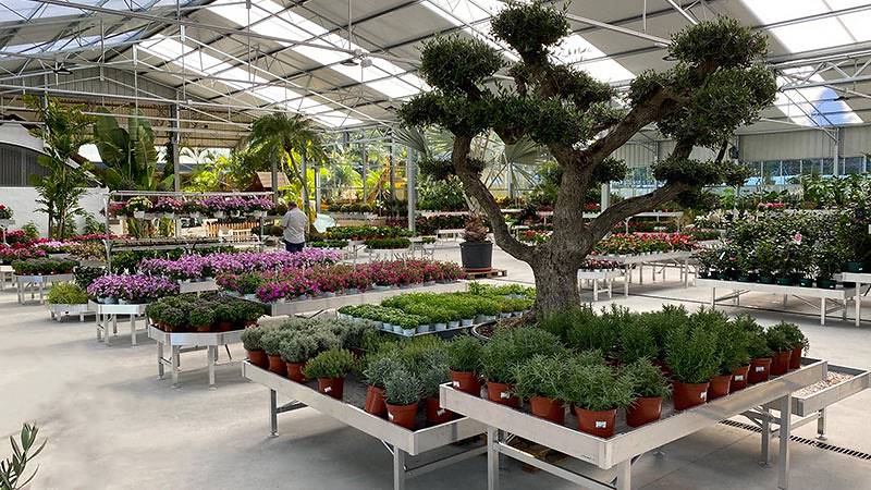 Viveros del Valle renueva la exposición de plantas y flores