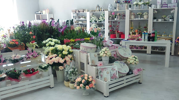 Vrtlarija Saric, un nouveau point de vente des plantes et fleurs à Livno