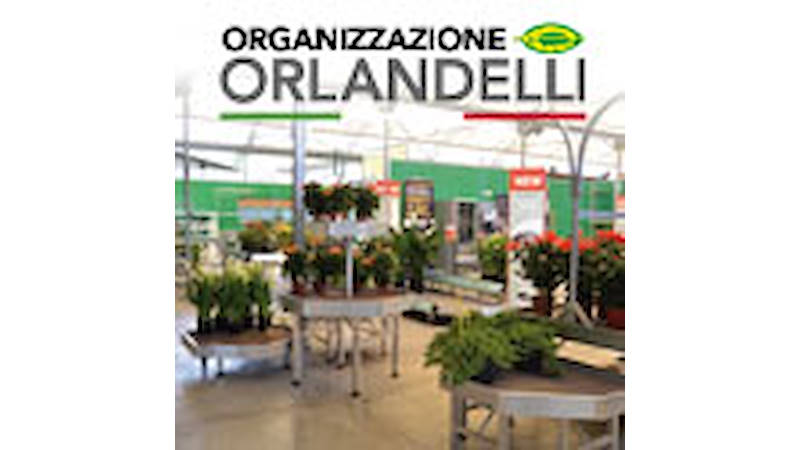 Welcome to our new showroom! 