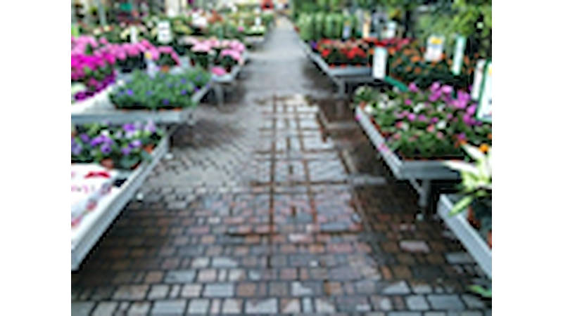 Wie man die Bewässerung der Blumen und Pflanzen in einem Einzelhandelsgeschäft betreiben muss