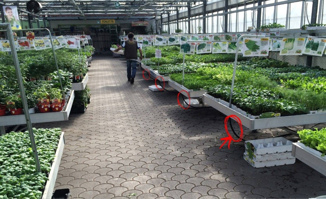 Wie man die Bewässerung der Blumen und Pflanzen in einem Einzelhandelsgeschäft betreiben muss