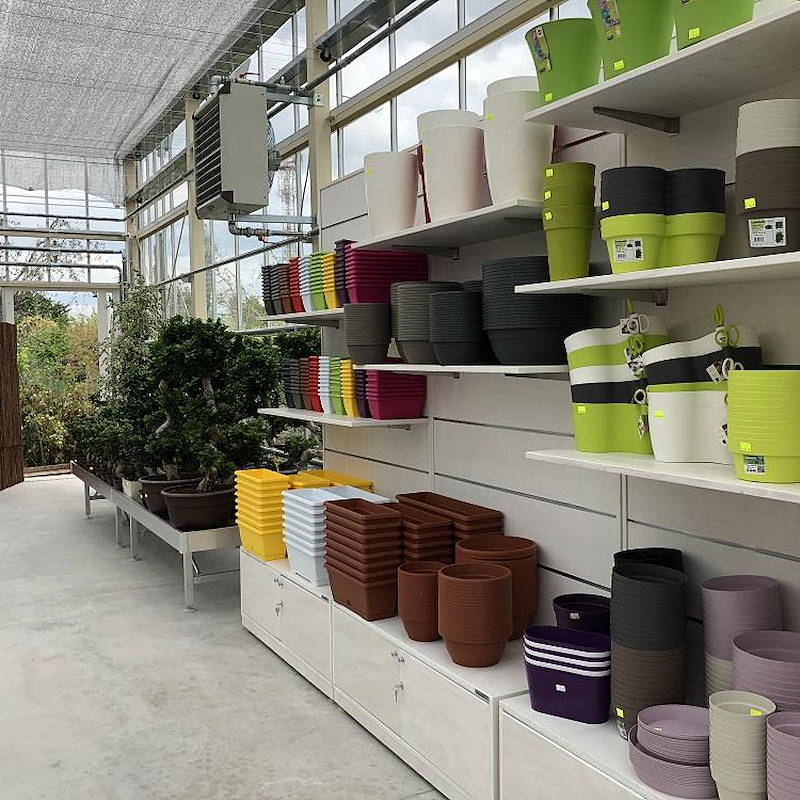 Wood shelving unit with blisters holder