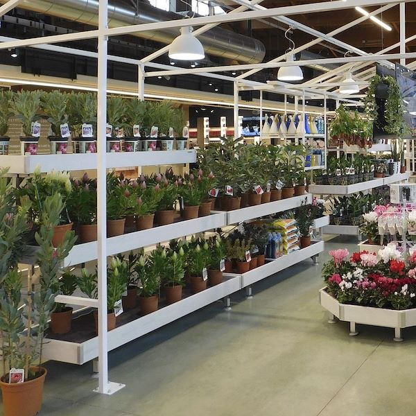 Palette de présentation murale en bois