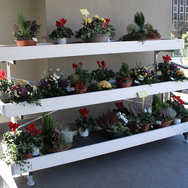 Palette de présentation murale en bois