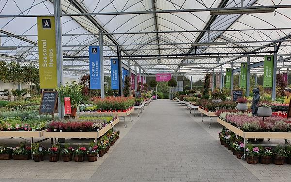 Bancale Linea Legno Amor