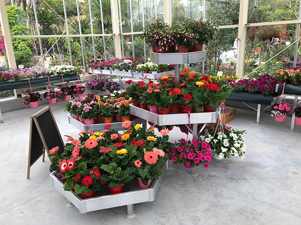 ESAGONO: set espositivo