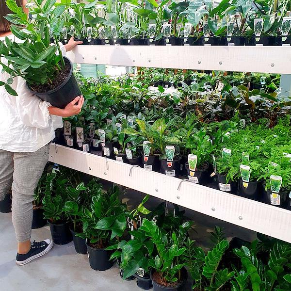 Caricamento massivo 2025-09-25 / 1