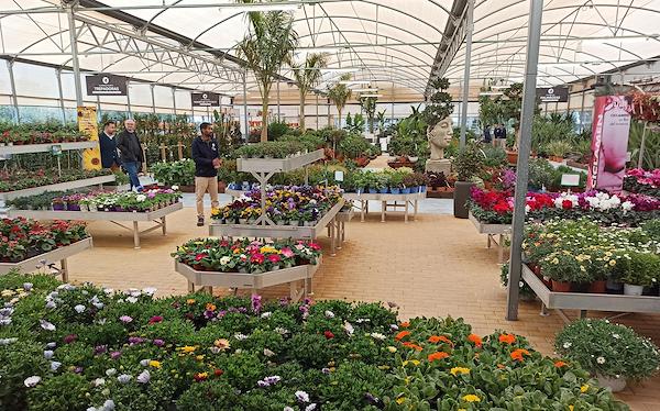 Caricamento massivo 2025-09-25 / 47