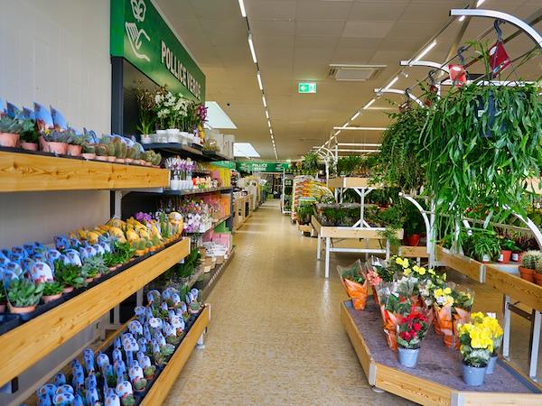 Caricamento massivo 2025-09-25 / 5