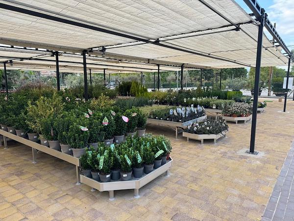 Caricamento massivo 2025-09-25 / 54