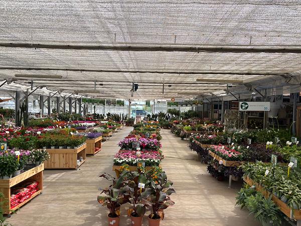 Caricamento massivo 2025-09-25 / 59