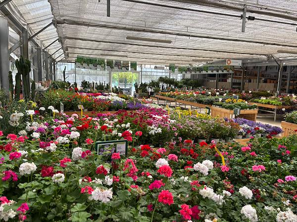 Caricamento massivo 2025-09-25 / 60