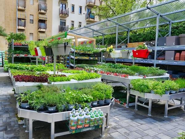 Caricamento massivo 2025-09-25 / 7