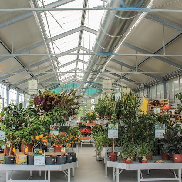 Caricamento massivo 2025-09-25 / 8