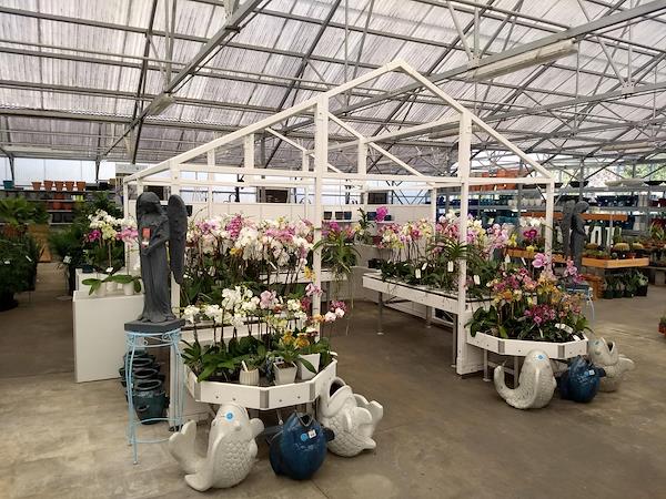 Serra - Garden Center Identity